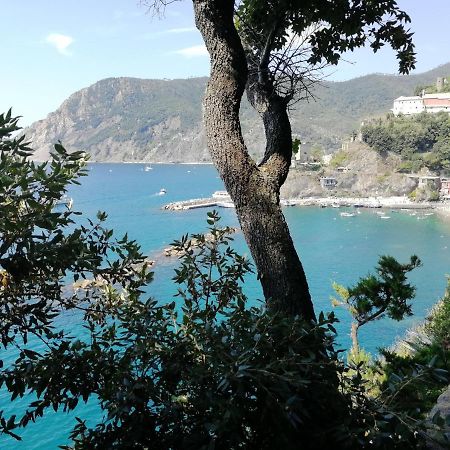 Nel Cuore Di Monterosso Cinque Terre Orto Di Ciack Monterosso al Mare Ngoại thất bức ảnh