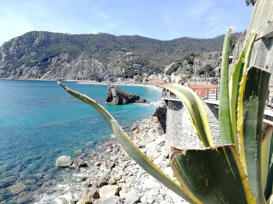 Nel Cuore Di Monterosso Cinque Terre Orto Di Ciack Monterosso al Mare Ngoại thất bức ảnh